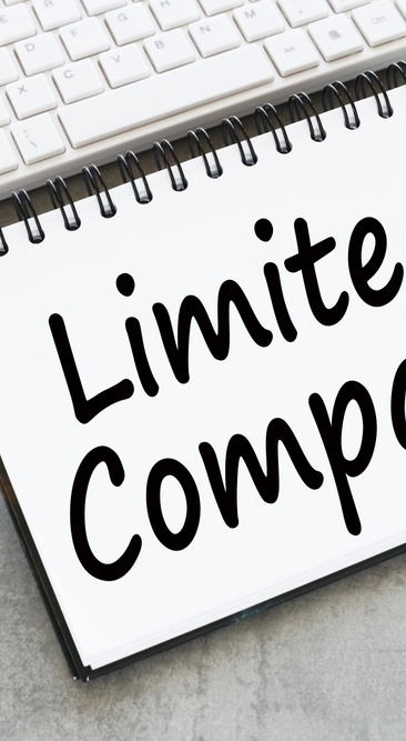 Sole trader or limited company