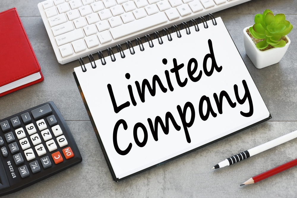 Sole trader or limited company